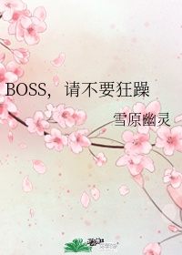 BOSS，请不要狂躁