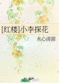 [红楼]小李探花