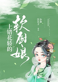 上错花轿的软厨娘txt下载