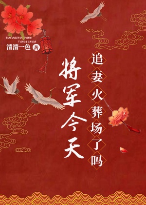 将军今天追妻火葬场了吗