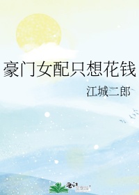 豪门女配只想花钱作者:如满月