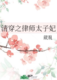 清穿之律师太子妃书包