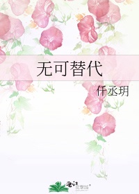 无可替代的成语