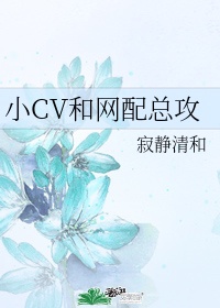 小CV和网配总攻