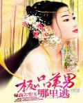 一品娆王妃